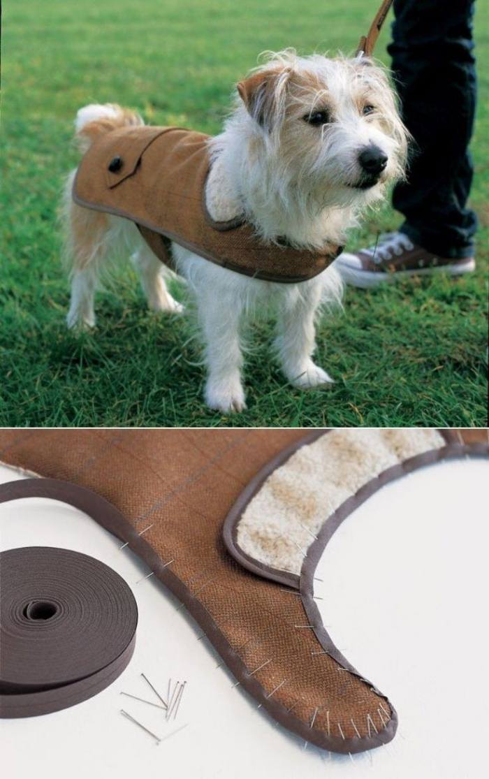 Hundebekleidung Selber Machen Schutz Vor Kalte Und Wind