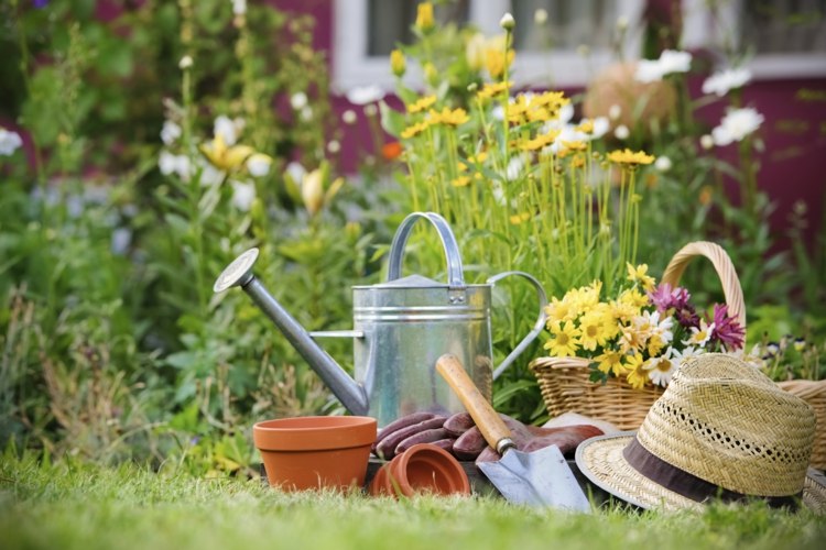 Blumenwiese-Ausstattung-Gartenarbeit