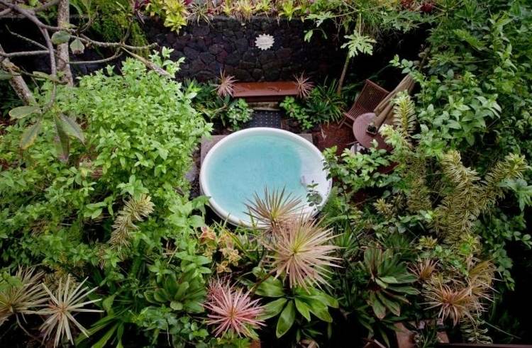 Whirlpool-Garten-Pflanzen-Sichtschutz-Sonnenschutz