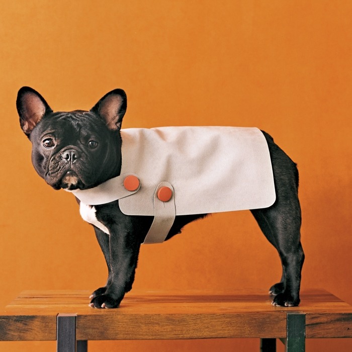 Winter-Hundebekleidung-DIY-französische-Bulldogge-Welpen