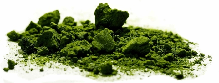 algen chlorella fettsäuren proteine heilung ernährung