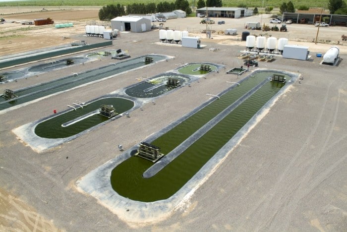 algen farm wasser fabrik bassin ernährung