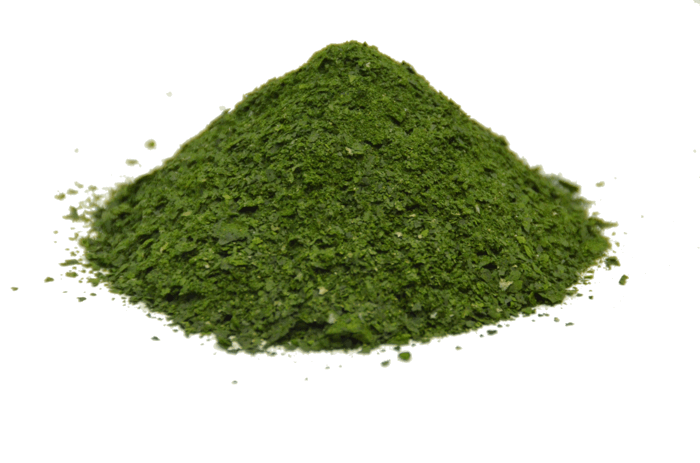 algen getrocknet pulver grün immunsystem herzerkrankung gesunde ernährung