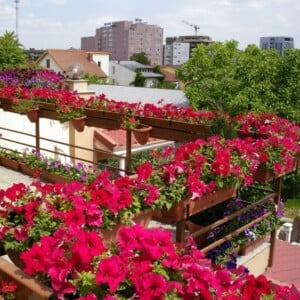 Balkon Sichtschutz