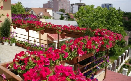 Balkon Sichtschutz