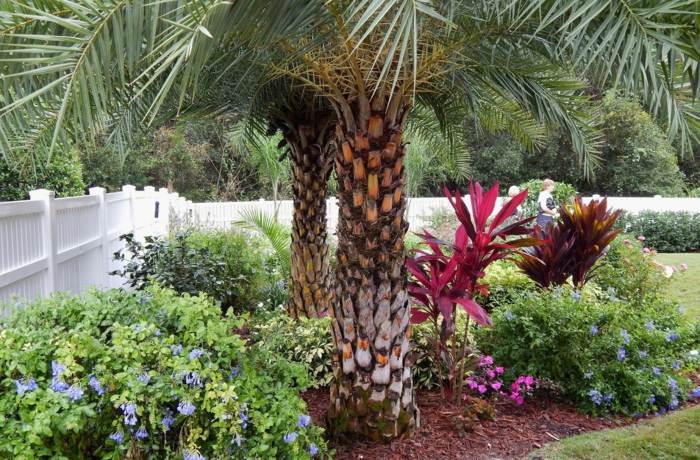busch blumen lila palme garten anlegen farben pflanzen