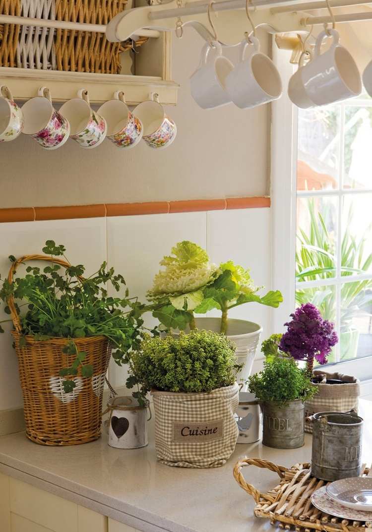 20 Deko-Ideen mit Blumen und Zimmerpflanzen für Zuhause