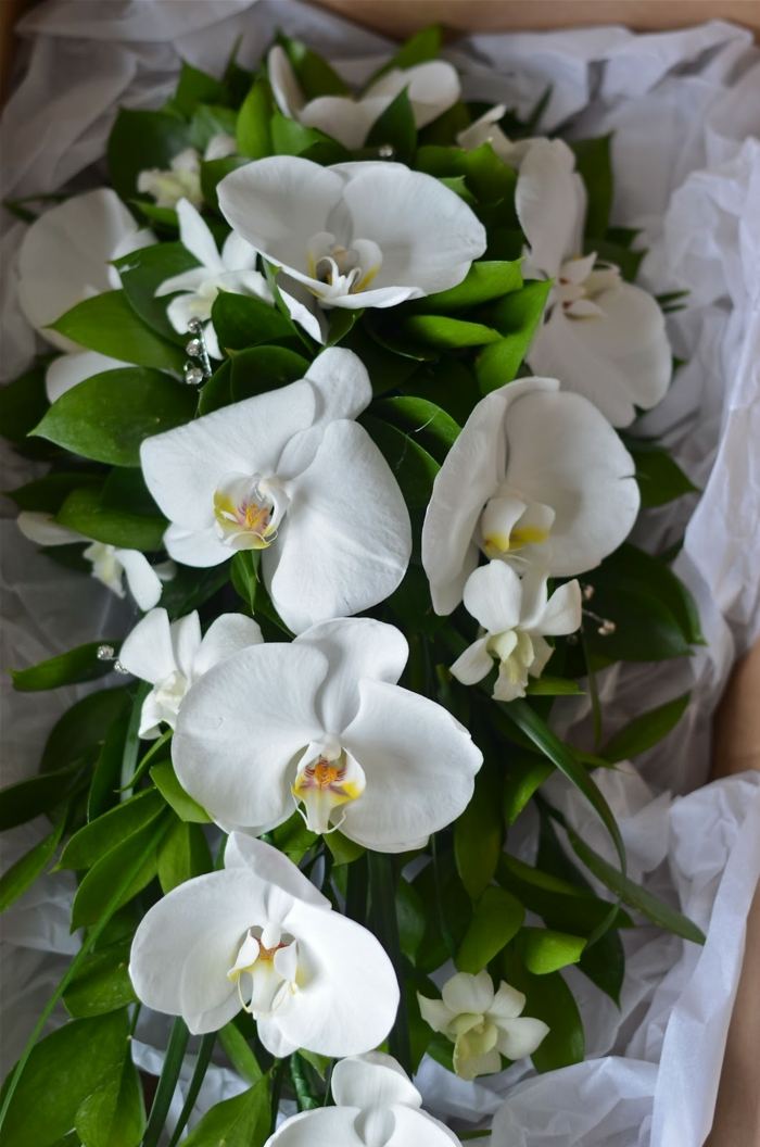 dekoration blumen orchidee grüne blätter kranz hochzeit braut
