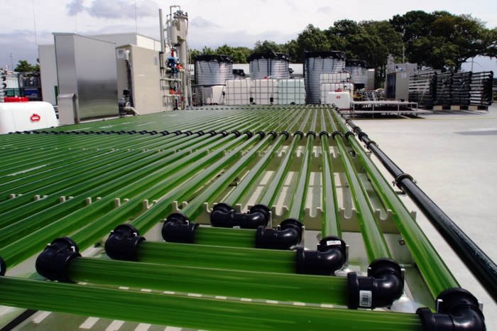 farm algen glas rohr vermehrung fabrik