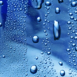 fenster profile kondenswasser schimmel pflege tipps