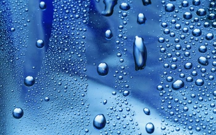 fenster profile kondenswasser schimmel pflege tipps