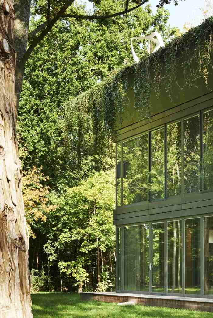 fertighaus design dach pflanzen garten wald park
