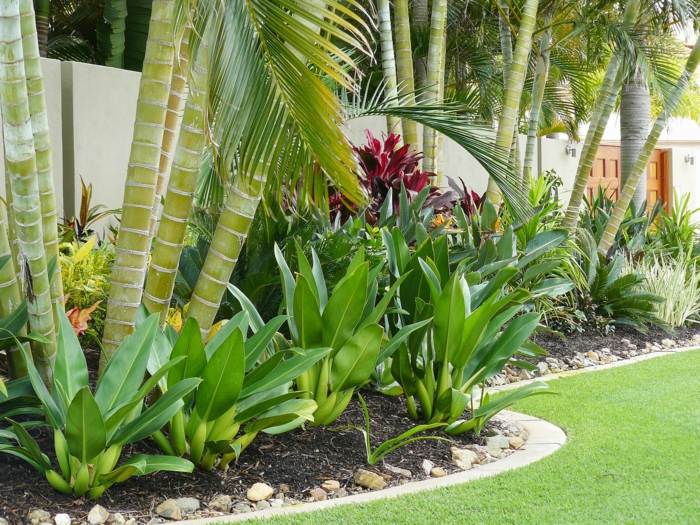 garten anlegen pflanzen exotisch palmen design außenbereich