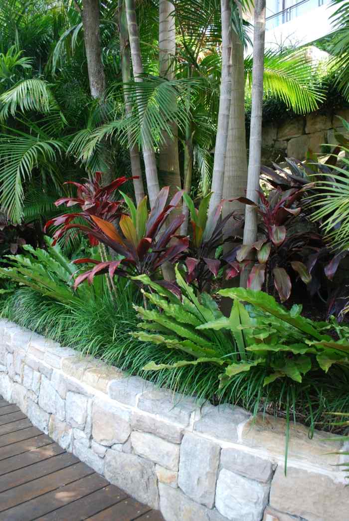 garten ideen tropik palmen gräser sträucher farbig