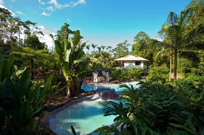 gartendesign villa pool palmen pflanzen sommer