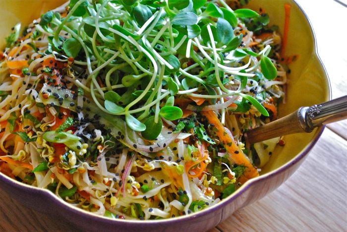 gemüse salat keimling organismus stärken schüssel ernährung