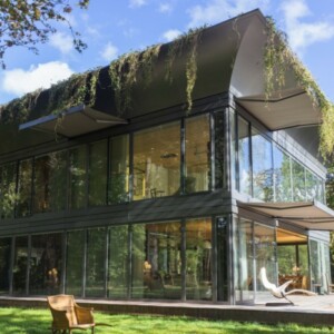 hausbau umwelttechnologie fenster pflanzen dach design