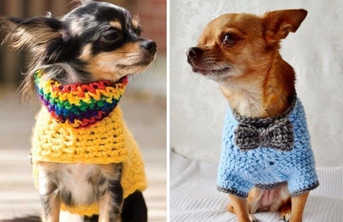 hundebekleidung-ideen-hundepullover-stricken-bunt