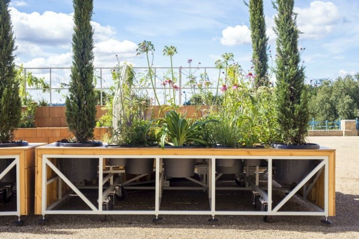 italienischer garten mobil terrasse blumenkübel pflanzen