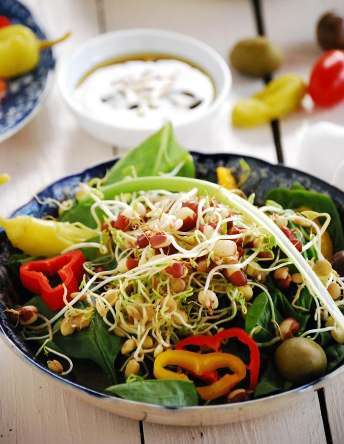 keimlinge salat linsen gesund vegan paprika gemüse