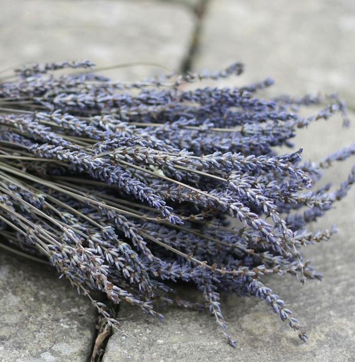 lavendel getrocknet kräuter rezept fettig haare gesund 20