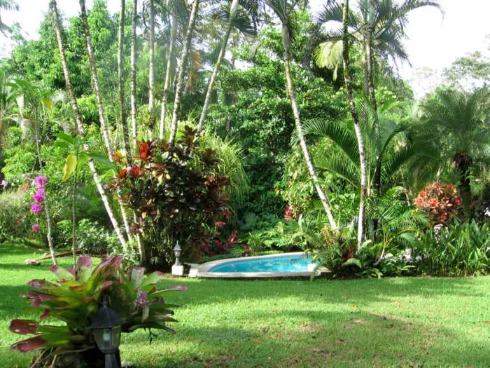 pool garten pflanzen landschaft design palmen rasen