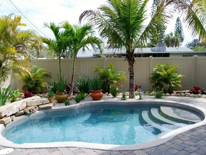 pool outdoor palmen garten design blumentöpfe pflegen