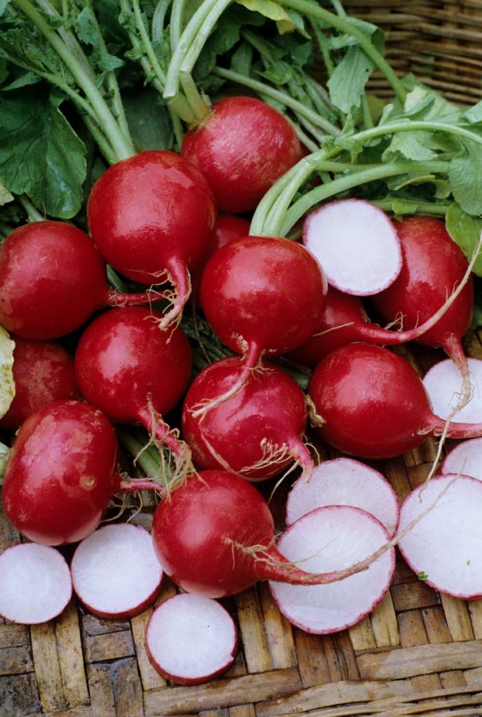 radieschen gemüse gesund salat ernährung rot frühling