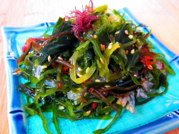 salat algen seegras ernähren gesund idee rezept