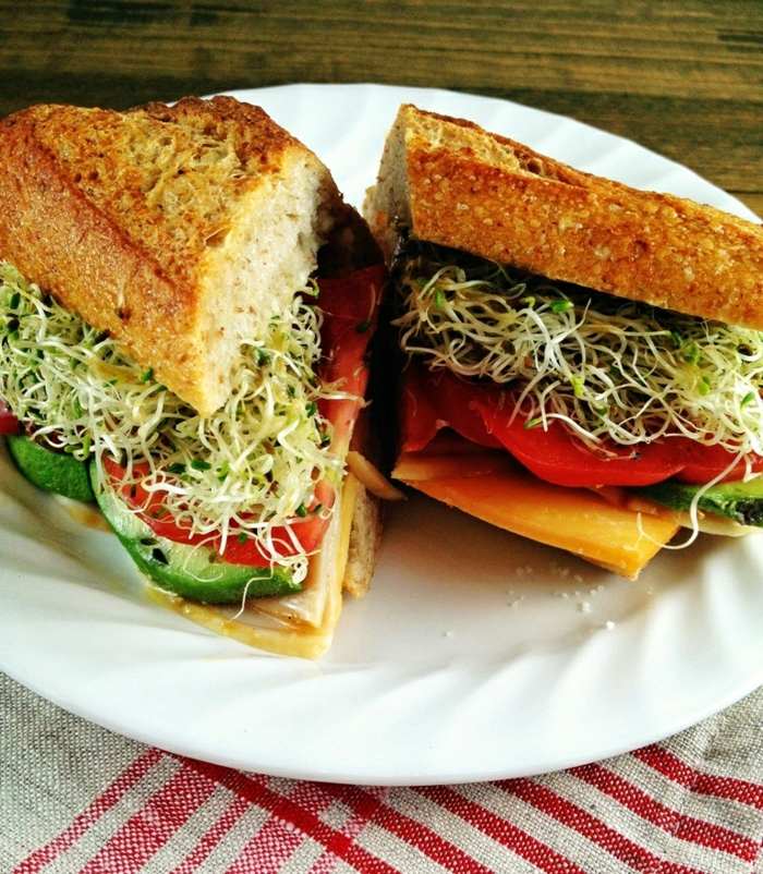 sandwich alfalfa keimling baguette gurke käse luzern