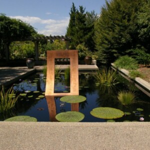 wasserspiele im garten teich gross minimalistisch seerosen graeser