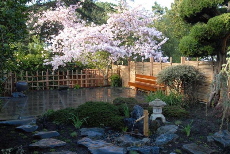 Zen Garten anlegen pflanzen-baume-rosa-kirschbluetten