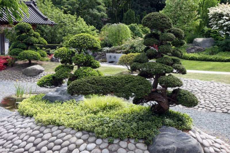 Bonsai-Baum-Garten-Gestaltung-Ideen-Steingarten