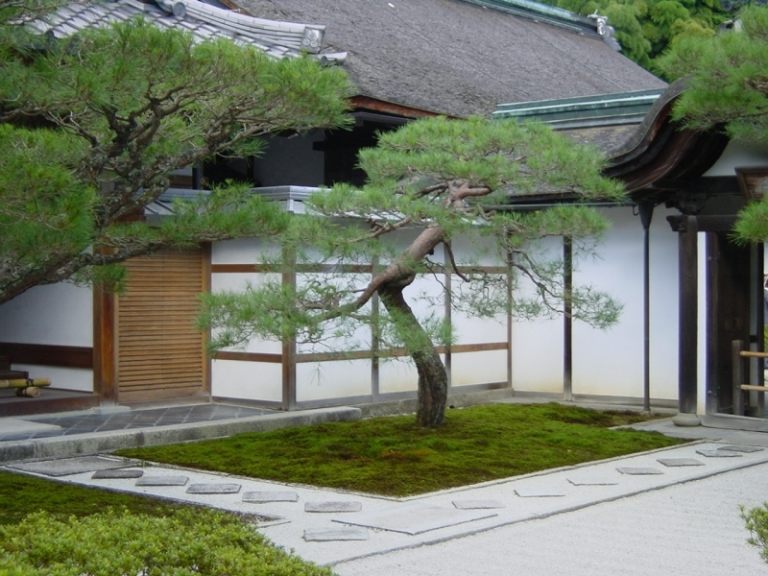 Bonsai-Baum-Garten-Gestaltung-Ideen-asiatisch