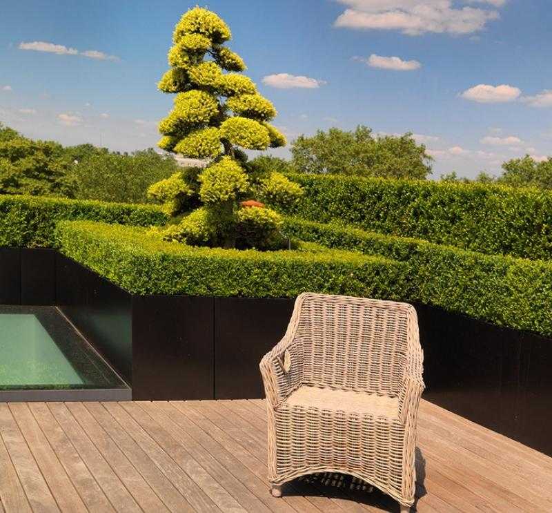 Bonsai-Baum-Garten-Gestaltung-Ideen
