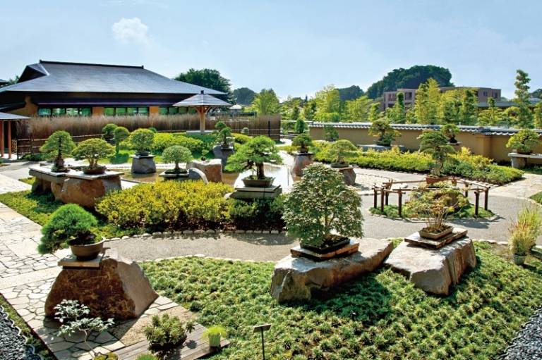 Bonsai-Baum-Garten-Steine-Gestaltung-Ideen