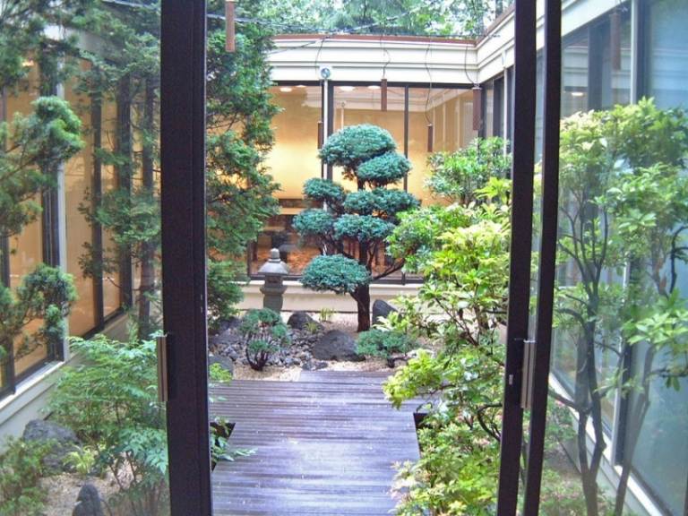 Bonsai-Baum-Innenhof-gestalten-Ideen-Pflanzen