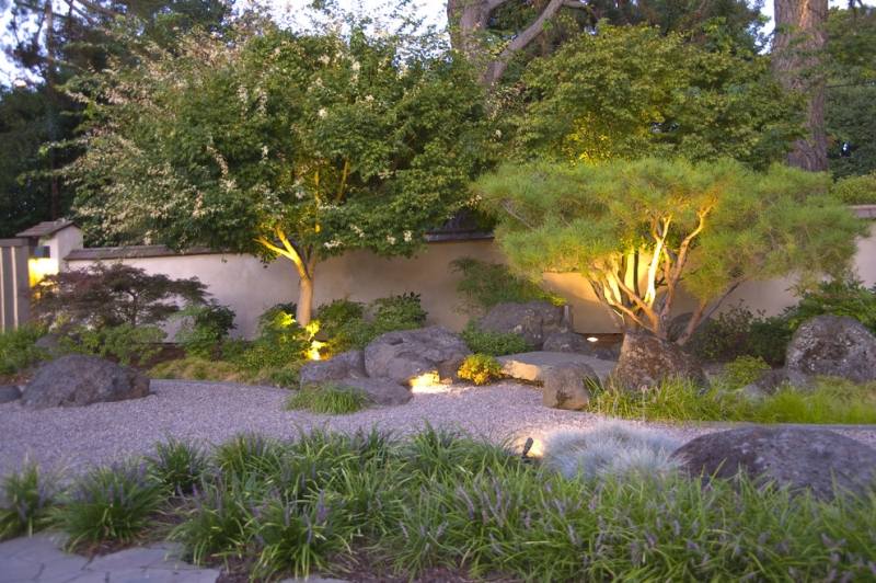 Bonsai-Baum-Landschaftsbau-japanischer-Garten-anlegen