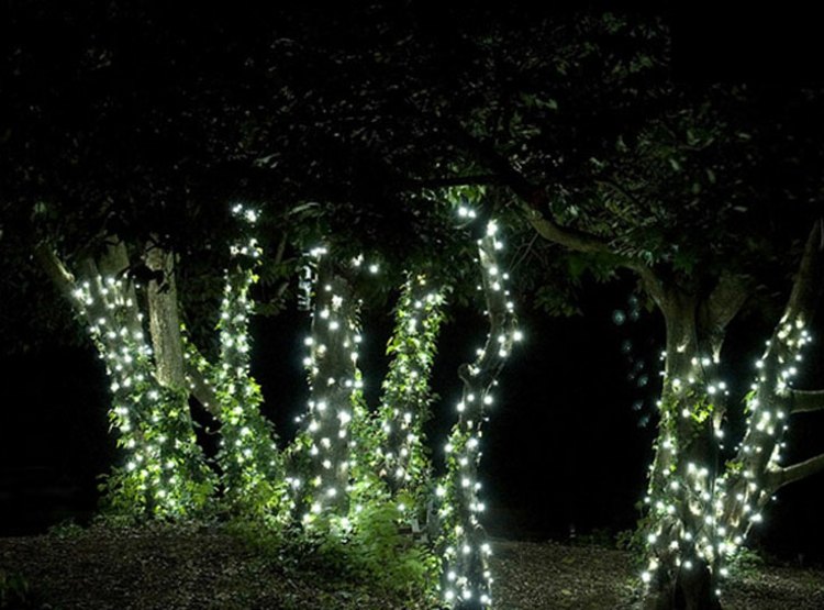 Bäume-schmücken-mit-LED-Beleuchtung