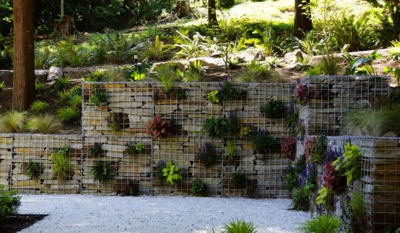 Gabionenwand-Garten-Stuetzmauer-bepflanzen-Ideen
