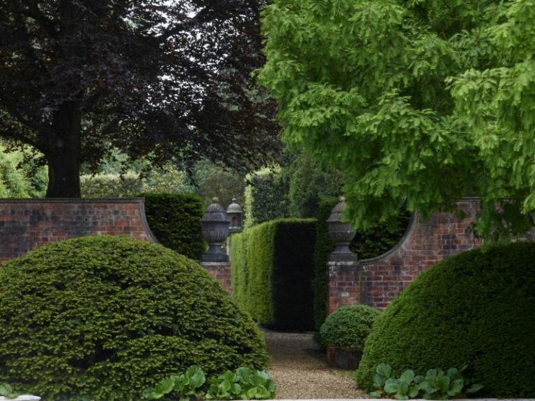 Immergrüne-Pflanzen-englischer-Garten-anlegen