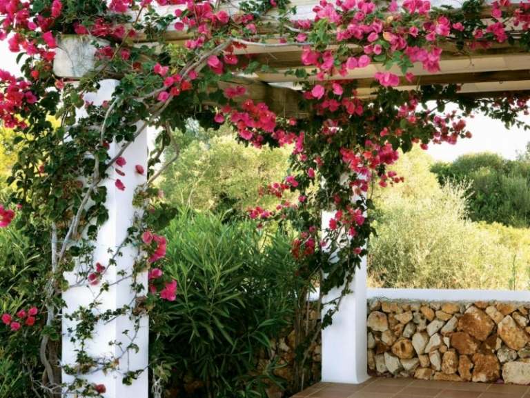 Pergola-bepflanzen-rosa-Clematis-Natursteinmauer