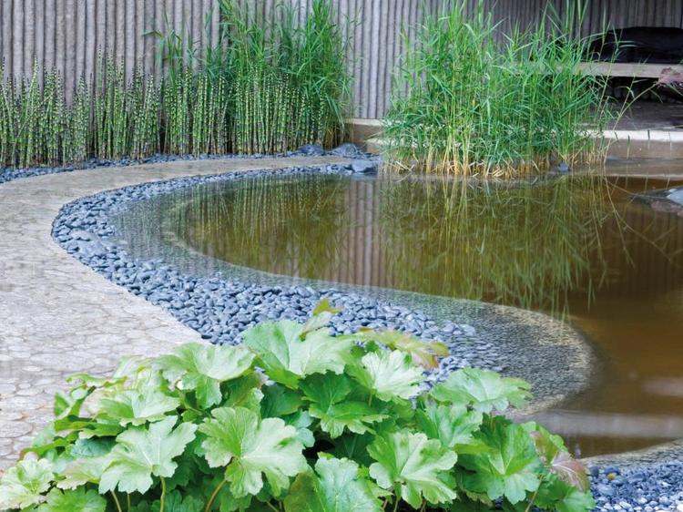 Teichpflanzen-Garten-Bambus-Teich-modern