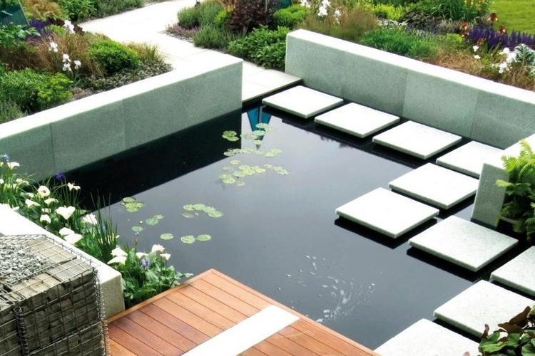 Teichpflanzen im Garten