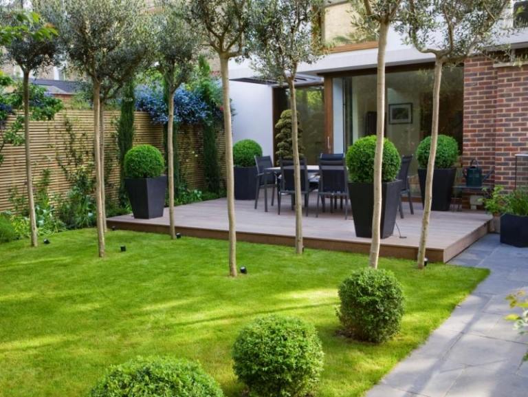 Terrasse-Balkon-Olivenbaum-Topfpflanzen-einranden
