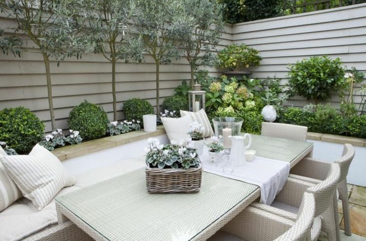 Terrasse-mit-schöner-Gestaltung-mit-Olivenbaum