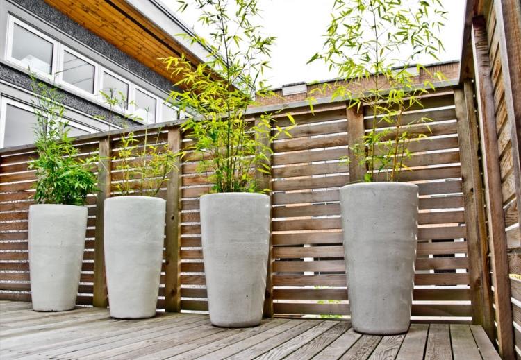 bambus-kubelpflanze-designgefaesse-beton-hoch-rund