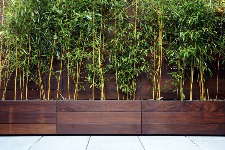 bambus-kubelpflanze-terrasse-sichtschutzzaun-pflanzgefasse-dunkles-holz