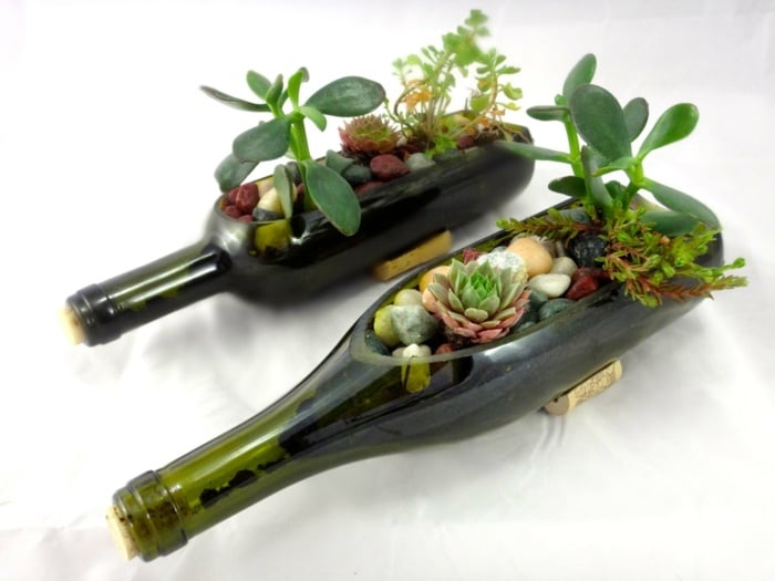 flaschen blumentopf originell sukkulenten pflanzen glas idee