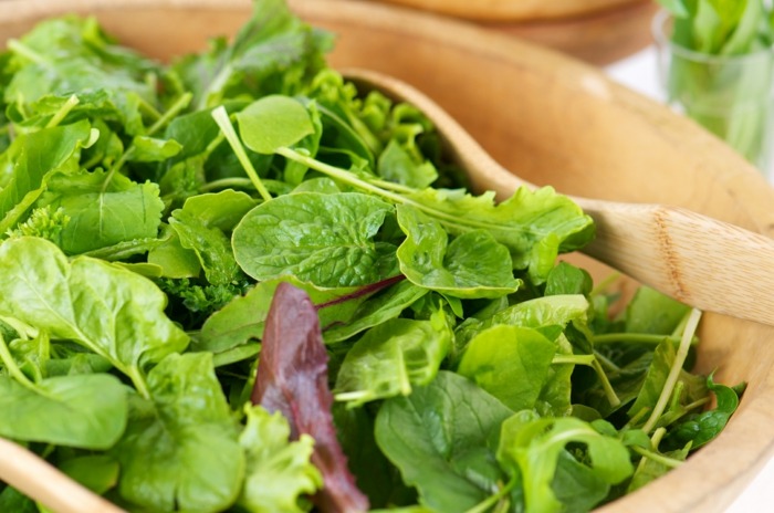 frischer salat gesunde ernaehrung garten saat ernte pflanzen